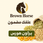 Brown Horse Animal Feed