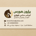 Brown Horse Animal Feed