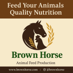 Brown Horse Animal Feed