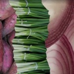 Queen Fresh Produce