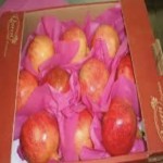 Queen Fresh Produce