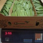 Queen Fresh Produce