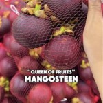 Queen Fresh Produce