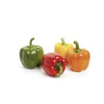 Queen Fresh Produce