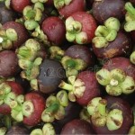 Queen Fresh Produce