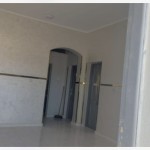 Brown Horse Animal Feed