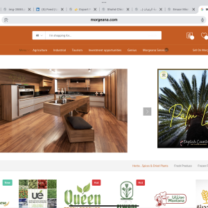 لماذا تختار مرجانة؟ منصة تربطك مباشرة بفرص التصدير من مصر وأفريقيا الي العالم
