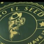 Port Said Star Factory