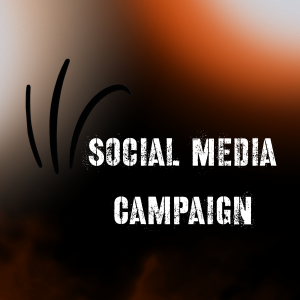 Social Media Management