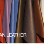 Ell Gonih Tannery