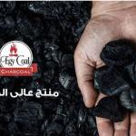 إيجيكول