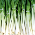 Fresh green onion