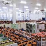 Integrated Agro-Processing & Storage Complex