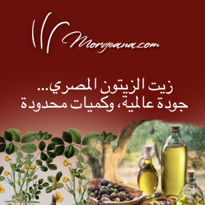 تعبئة وتغليف زيت الزيتون