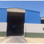 Brown Horse Animal Feed