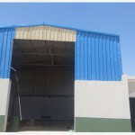 Brown Horse Animal Feed