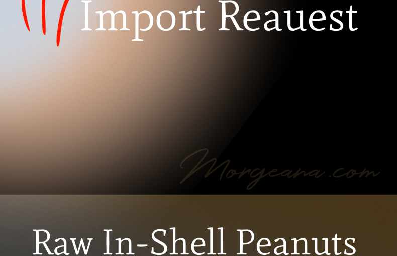 White Sunflower Seeds