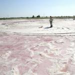 Wadi El Natrun Salts