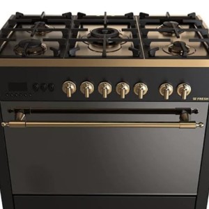 Fresh Professional Gold Gas Cooker