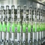 Integrated Agro-Processing & Storage Complex