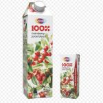 Lamar Egypt – Premium Milk & Juice Products