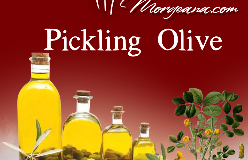 Egyptian Pickling Olives